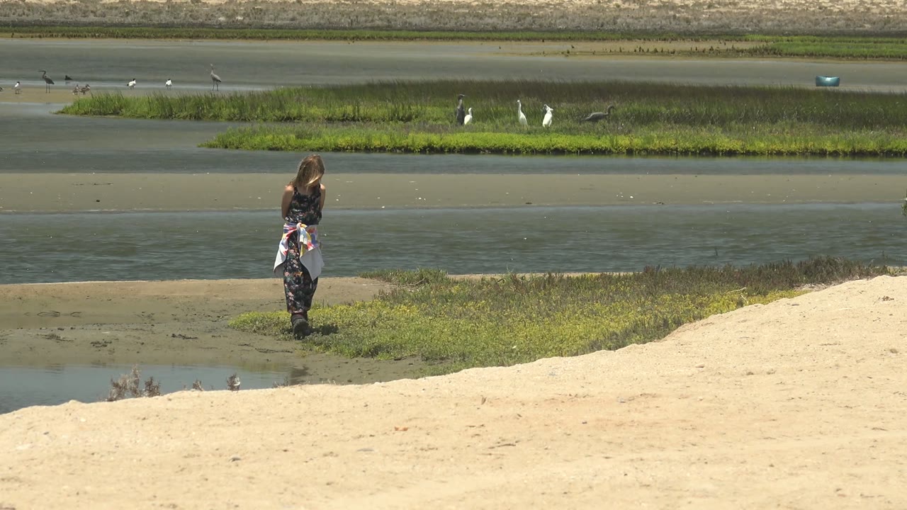 At 0:00 in Guerrero Negro, a child stands on the sandy wetland edge while birds are visible across the shallow water and marsh grass.