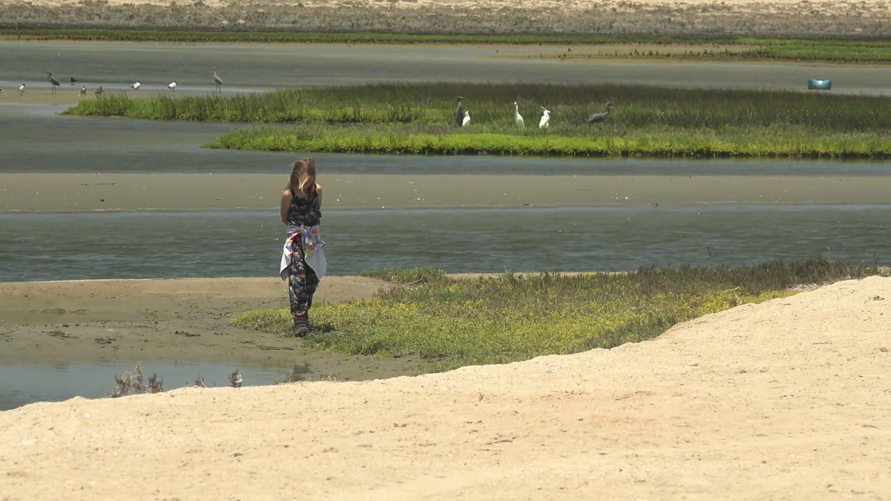 Child facing shallow water with marsh grass and birds beyond.