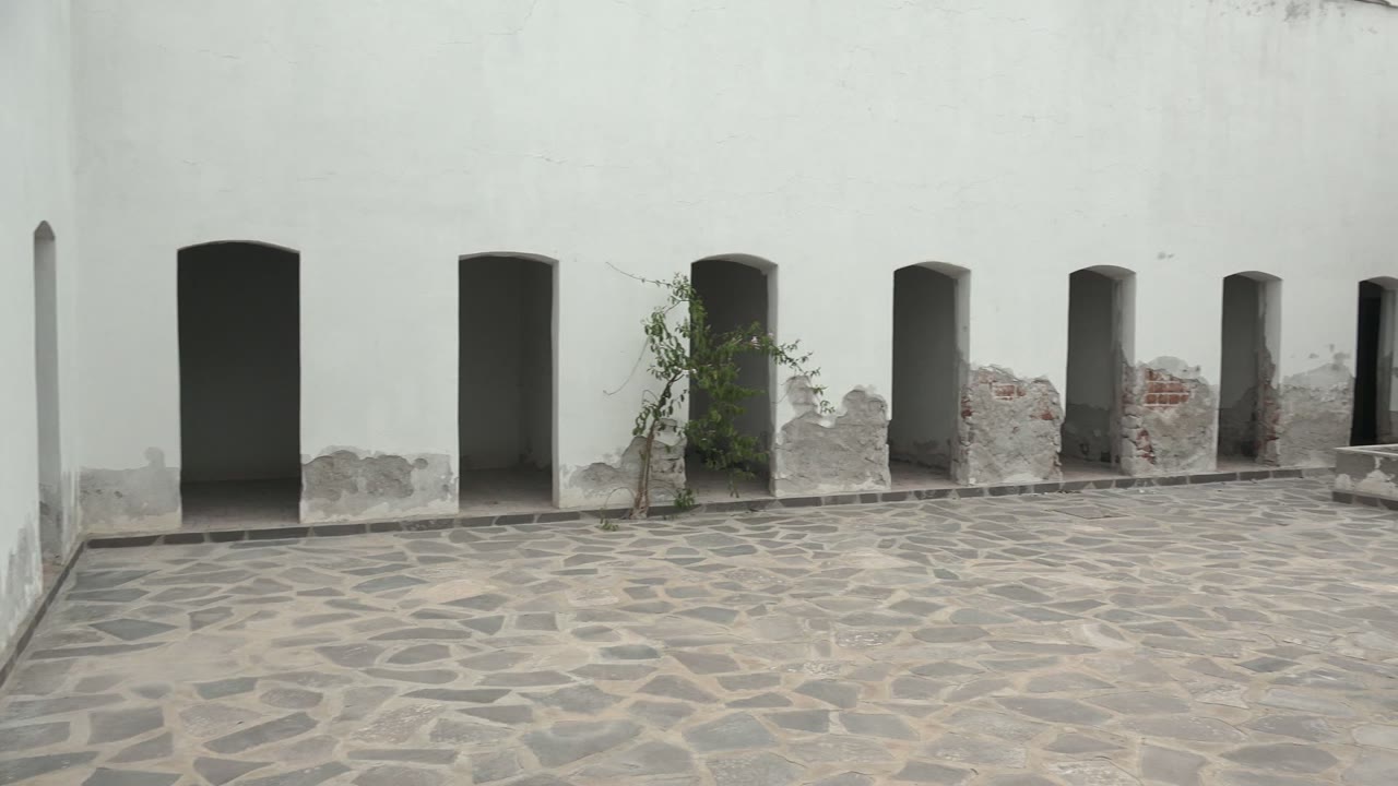 Courtyard wall with arched openings and climbing plant