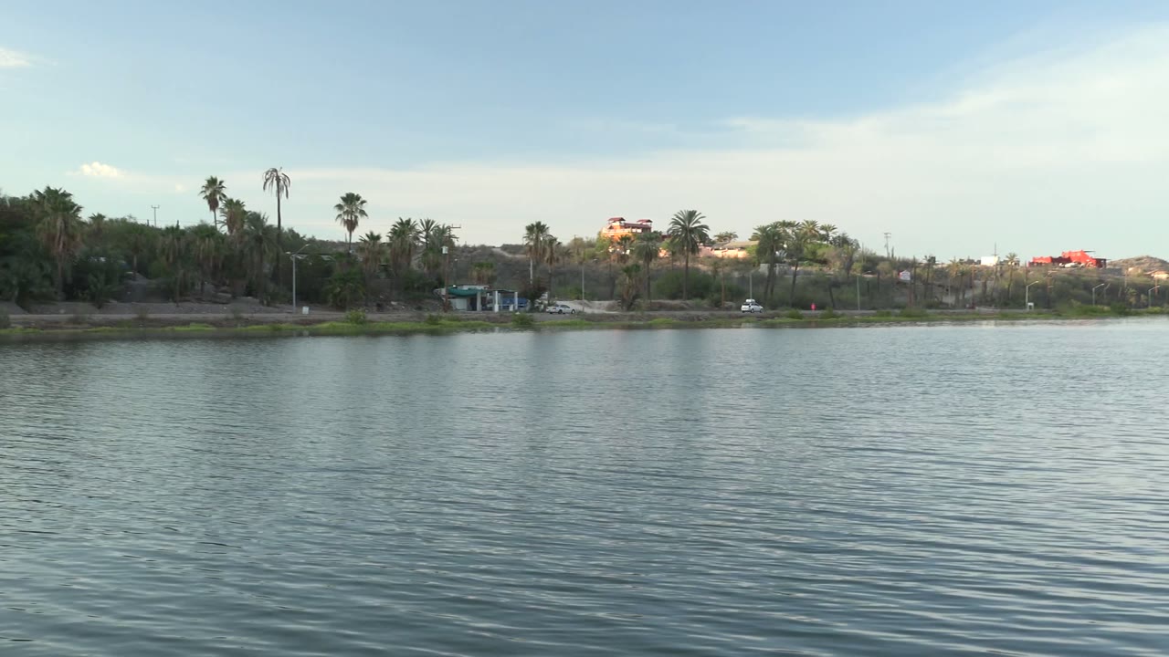 Wide view of calm rippling water in Mulege, Baja California Sur, with palms, greenery, low buildings, pale sky, and no visible people.