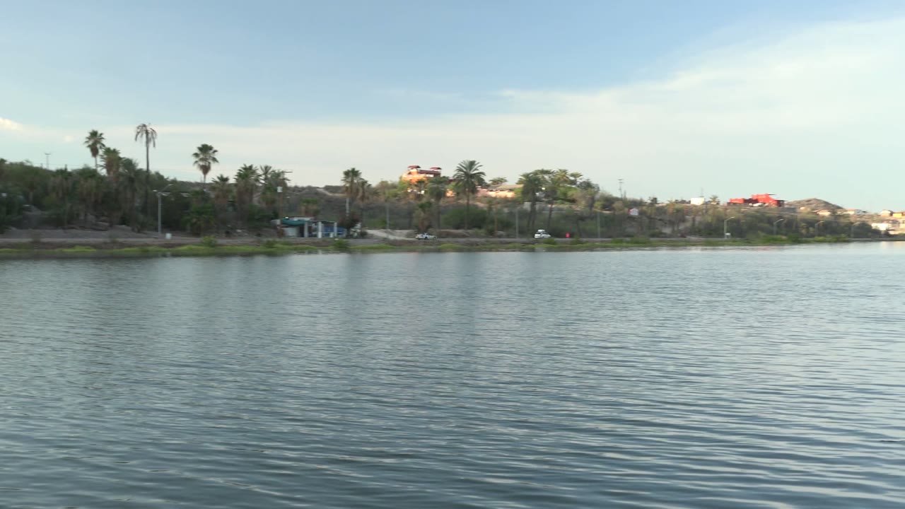 Waterway with low shoreline, palms, trees, and houses under pale sky