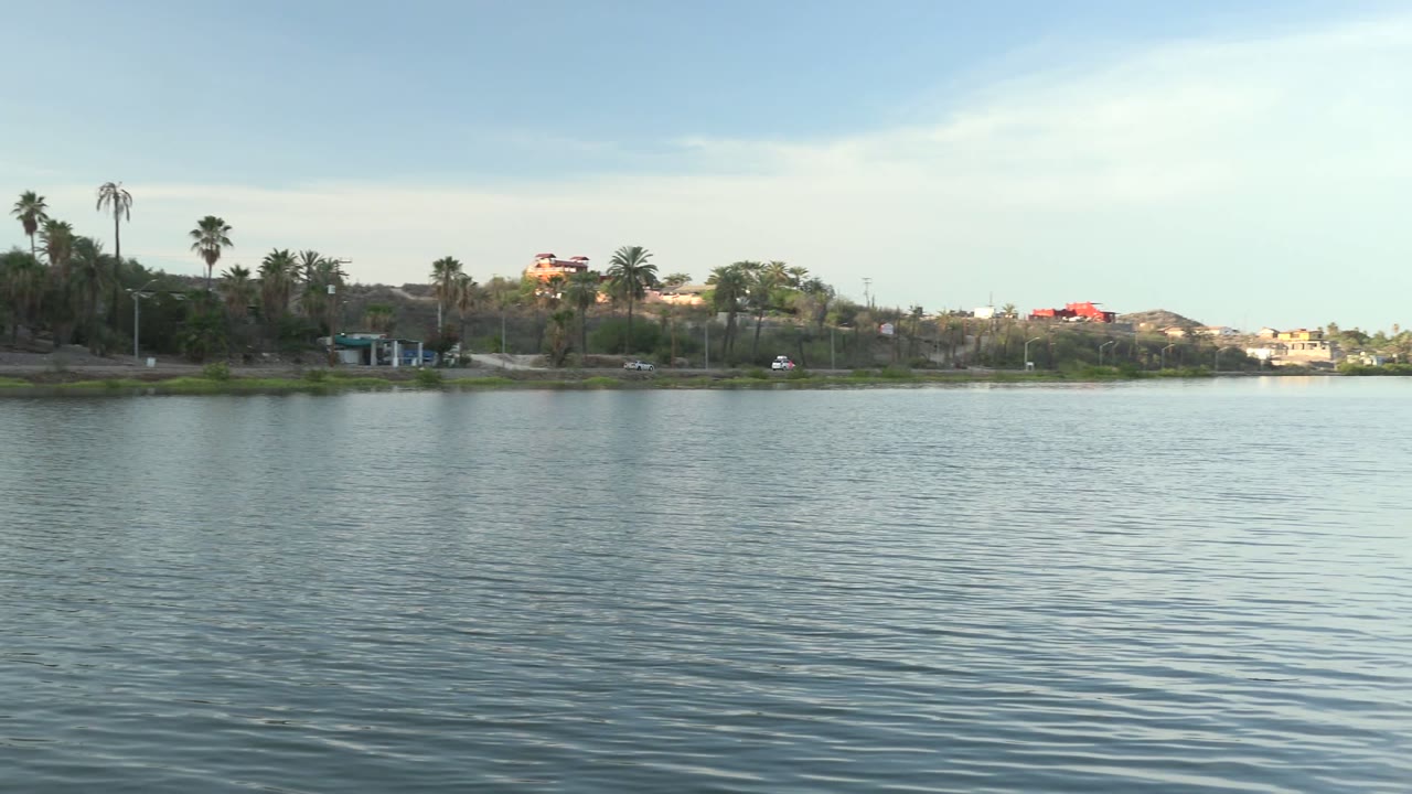 Wide Mulege waterfront frame with blue-green ripples, palm trees rising behind a low green bank, scattered distant buildings, and no visible people.