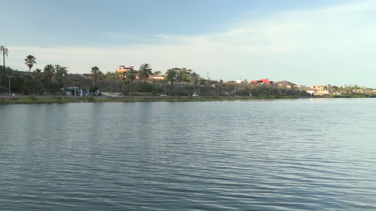 Palm trees and shoreline across calm water with distant hillside houses