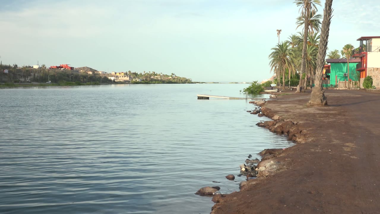 Rippling bay water with palm-lined shore and low waterfront buildings.