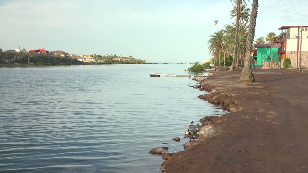 Mulege shore view with a small dock or floating platform extending near the water, palms and buildings at right, distant waterfront across the bay, and no visible people.