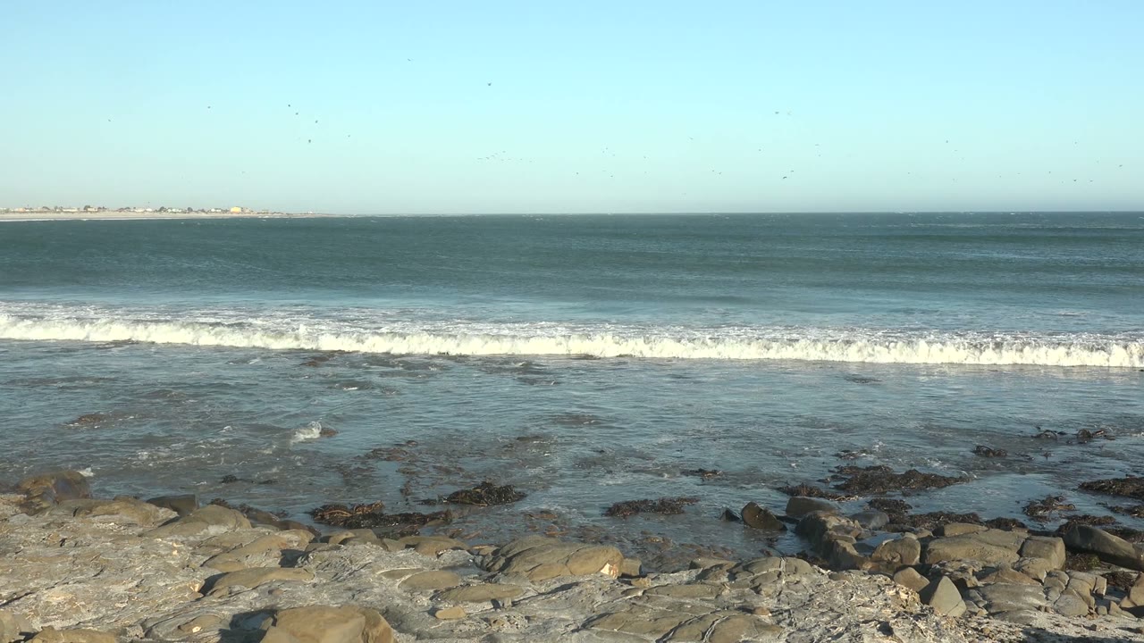 Waves breaking beyond wet rocks and seaweed.