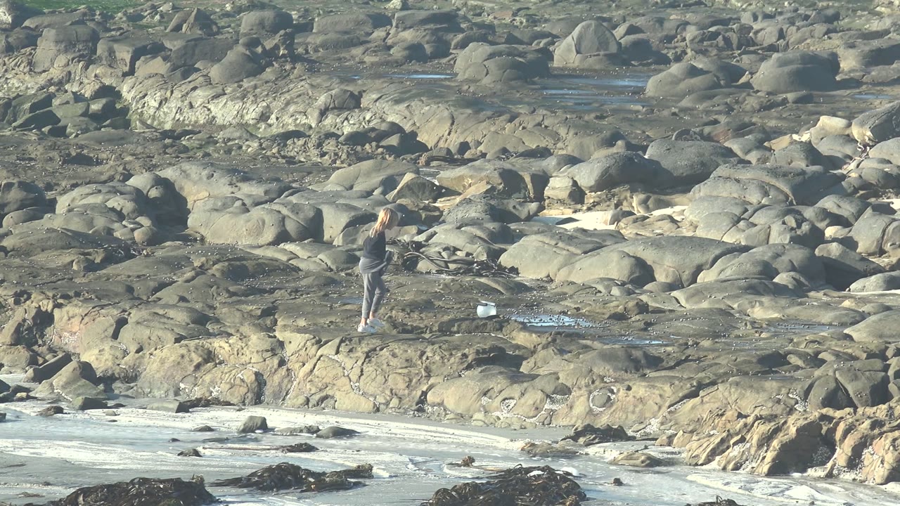 Woman standing farther along the rocky shore with tide pools around her.