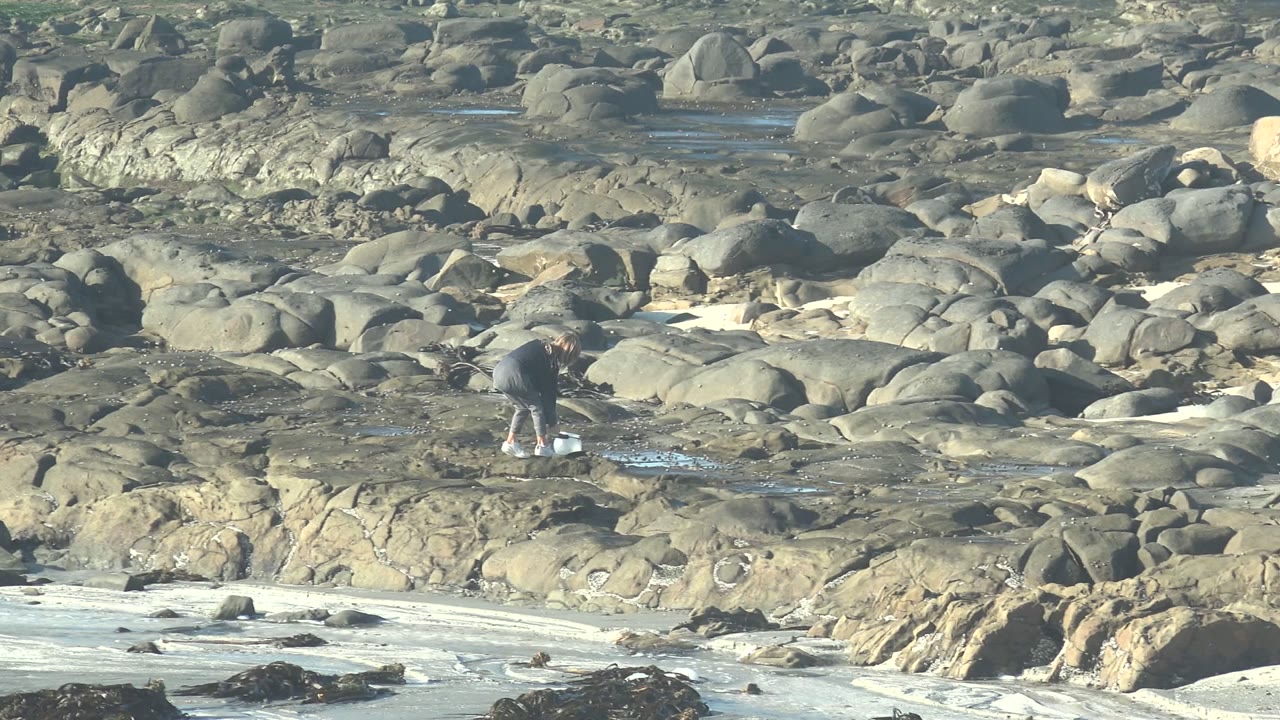 At La Bocana, Mexico, the woman bends toward a tide pool on the rocks while white surf and dark seaweed remain visible along the lower edge.