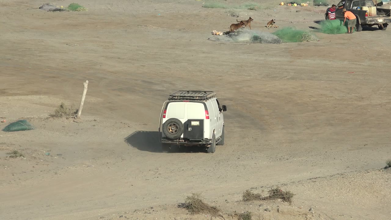 White SUV moves across a sandy beach in San Juanico, Baja California Sur, with green fishing nets, dogs, a dark vehicle, and distant people near the upper edge of the frame.