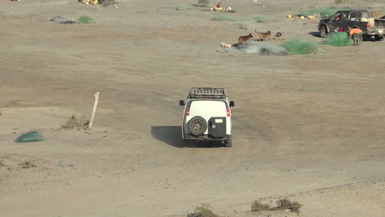 White SUV centered on beach with nets, dogs, and fishing gear behind it