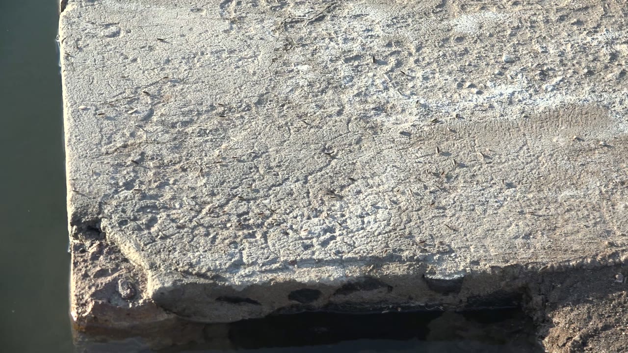 At 0:00 in Mulege, Baja California Sur, rough gray concrete fills the frame with dark water visible along the left and lower edges, no visible people.