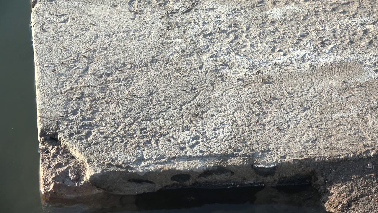 Sunlit pitted concrete with water at the edges