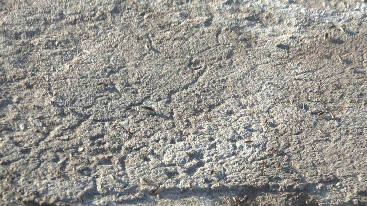 Early frame of a gray, pitted concrete surface in Mulege, Baja California Sur, with fine cracks, embedded grit, and no visible people.