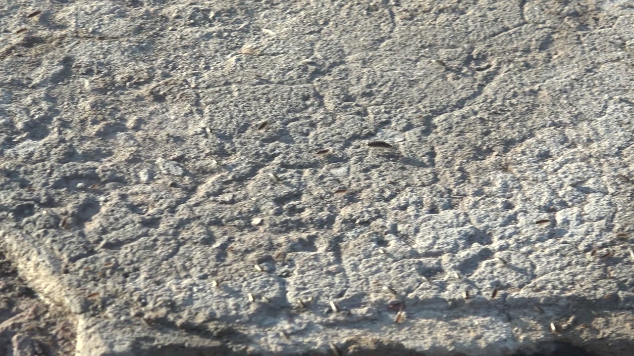 Mid-clip frame of cracked gray concrete in Mulege, Baja California Sur, with a rough chipped area near the lower portion and no visible people.