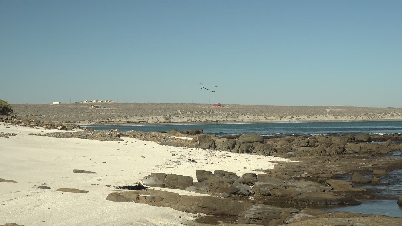 At La Bocana in Baja California Sur, white sand and dark rocks border calm blue water as small birds cross the clear sky, with no visible people.