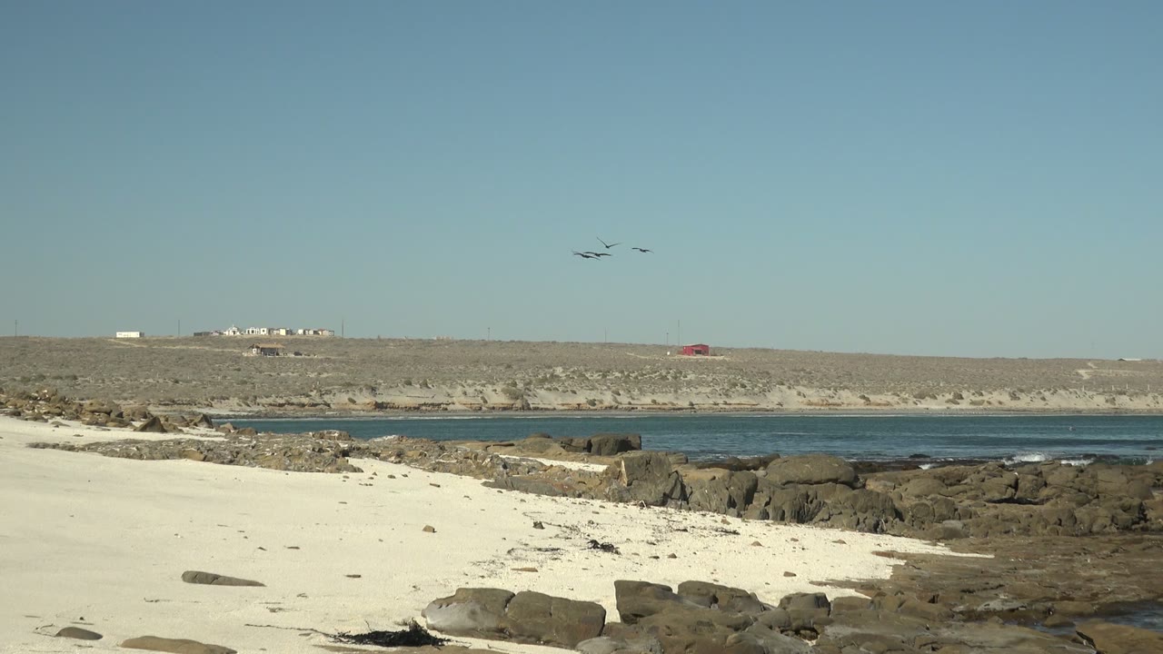 A wide La Bocana beach view shows birds near the upper sky, dark rocks along the shore, calm blue water, pale sand, and distant structures on dry terrain, with no visible people.
