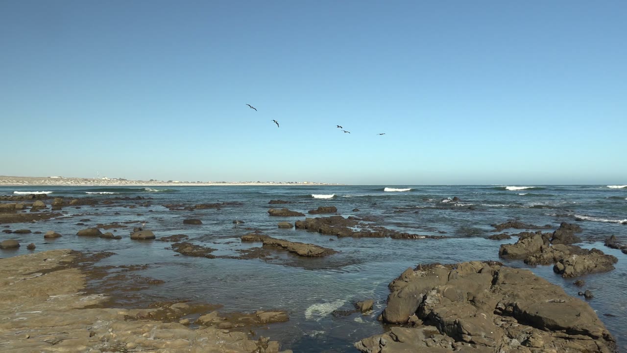 Low rocky shore with shallow water, surf, and birds crossing the sky.
