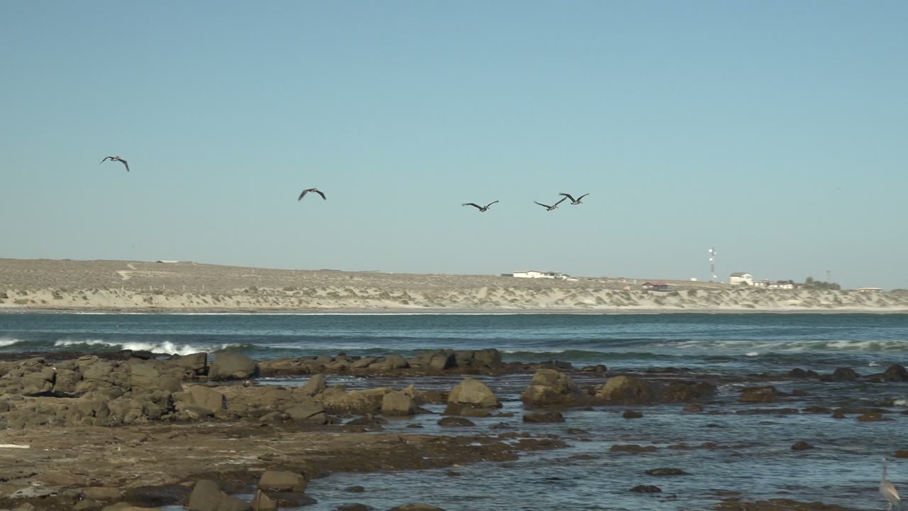 Birds pass above tide-pool-like rocky water in La Bocana, Baja California Sur, with pale land and scattered structures on the horizon and no visible people.