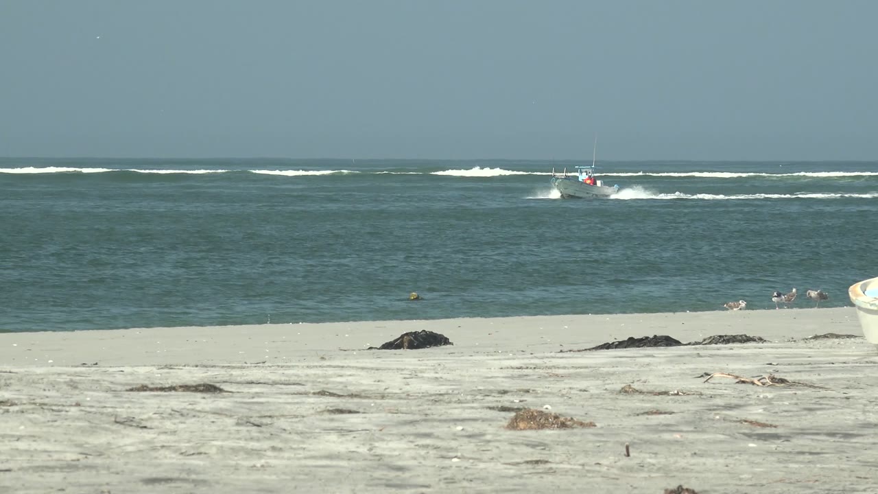 A small white boat sits left of center offshore at La Bocana, Baja California Sur, with pale sand in the foreground, low waves on the horizon, birds near the shoreline, and no visible people.