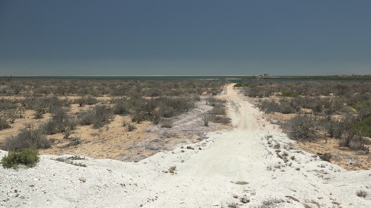 Opening view of a pale dirt road in San Carlos, Baja California Sur, Mexico, bordered by white rocky ground and dry bushes with no visible people.