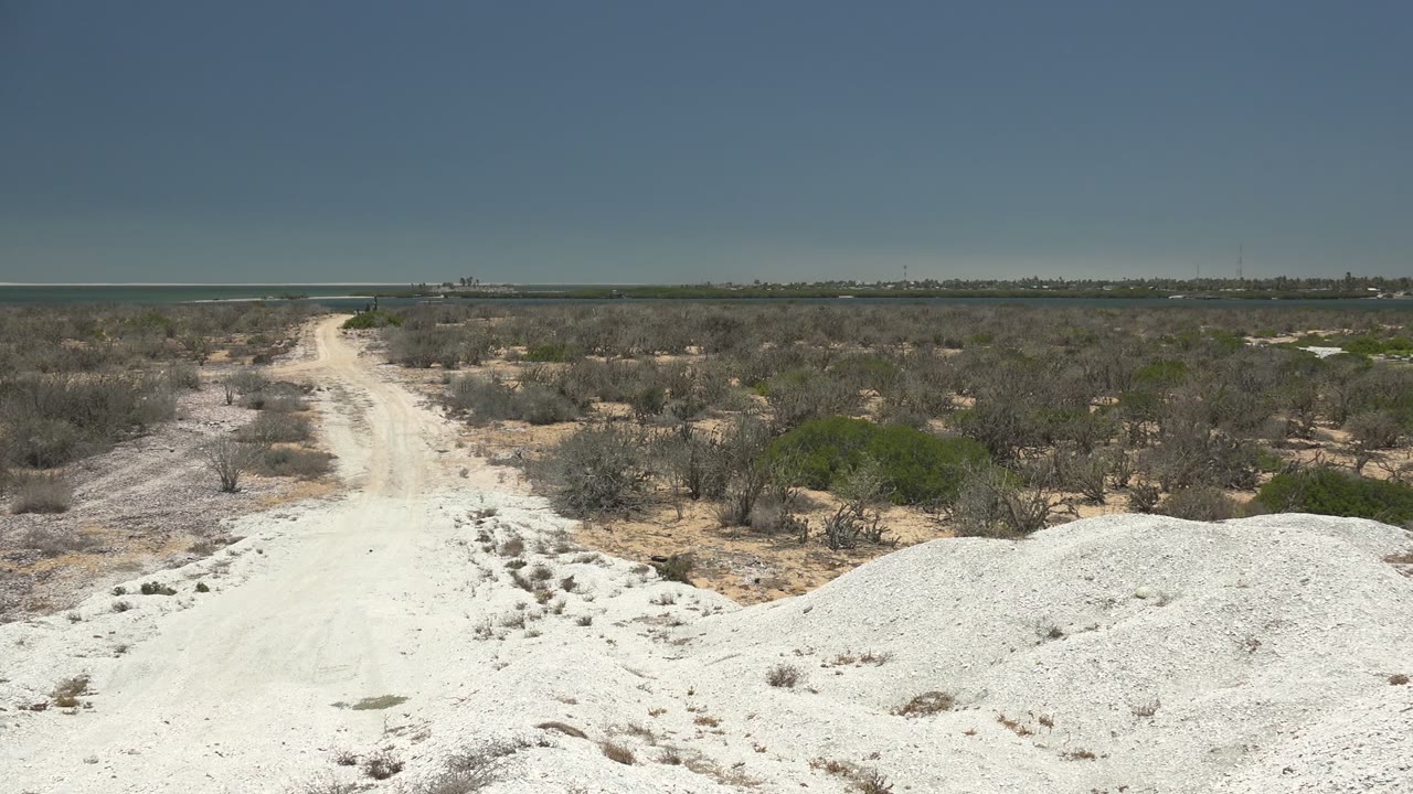 A pale dirt road cuts through white sand dunes and sparse scrub in San Carlos, Baja California Sur, with distant water on the horizon and no visible people.