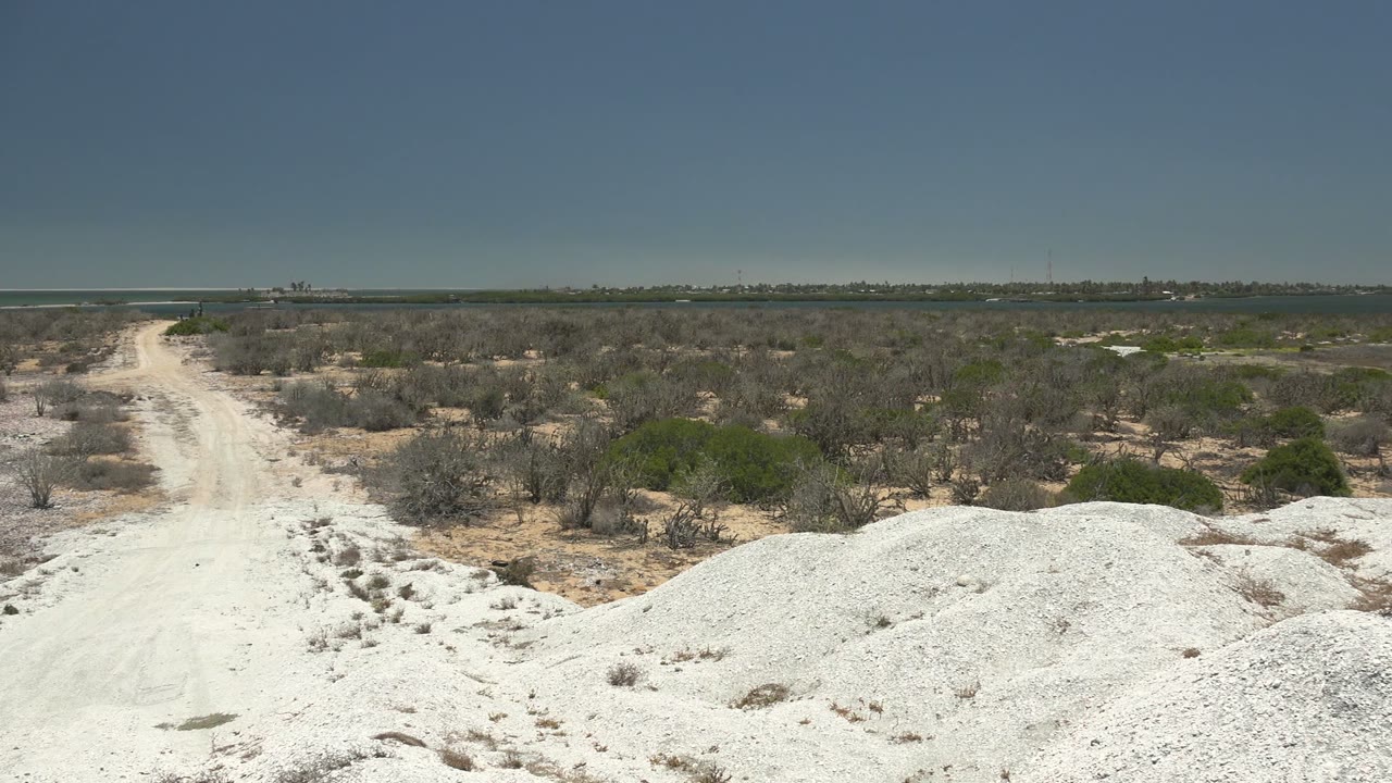 Bright white sand fills the foreground while a dirt track and scattered shrubs extend toward distant water in San Carlos, Baja California Sur, with no visible people.