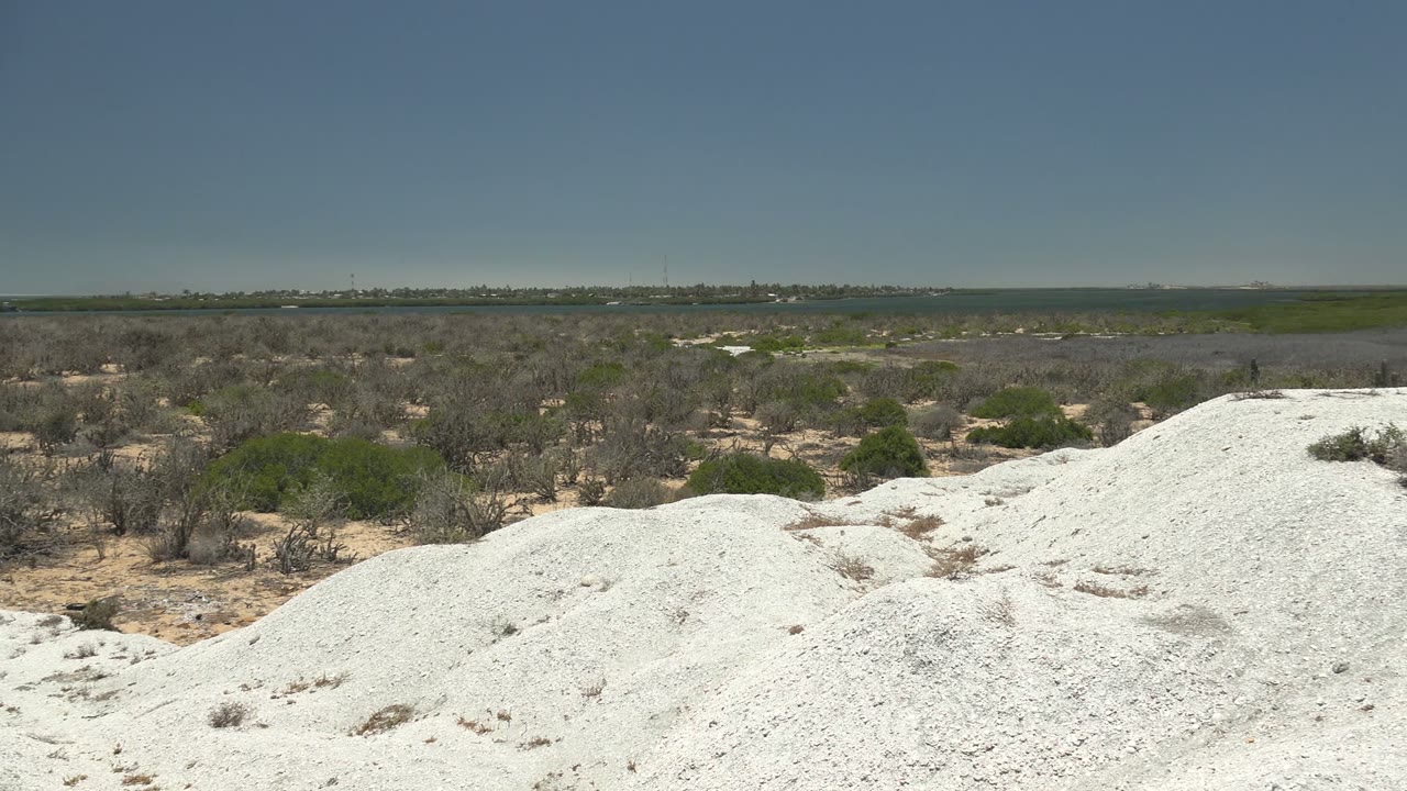 Bright dune ridge in the foreground with scattered shrubs across a dry plain.