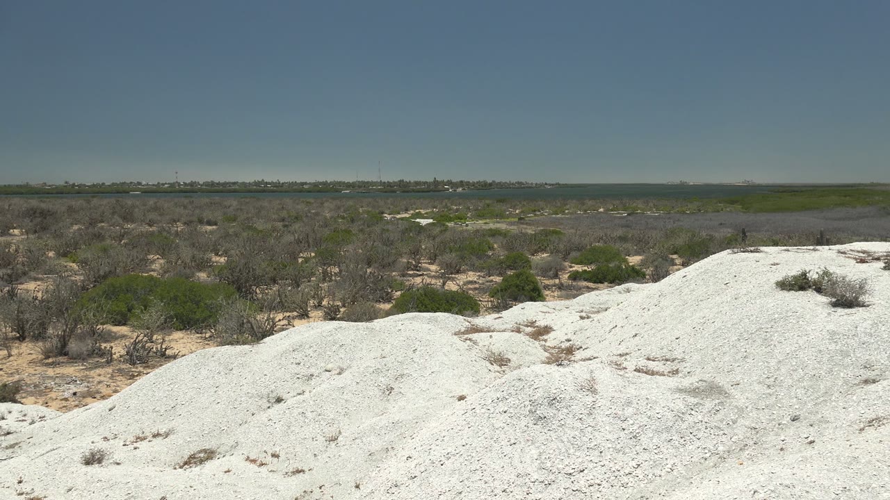 The pan continues across white sand in San Carlos, Baja California Sur, with low gray-brown brush, small green shrubs, and no visible people.