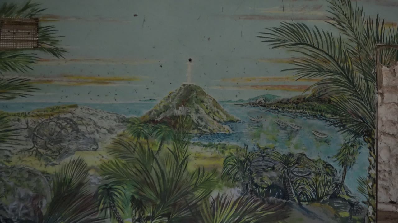 At 0:00 in Mulege, Baja California Sur, palm fronds frame a rocky island with a lighthouse across blue-green water, with small boats and no visible people.