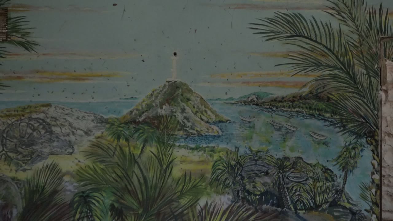 At 0:01 in Mulege, Baja California Sur, a palm trunk and fronds sit in the foreground while the lighthouse island remains centered over calm water, with no visible people.