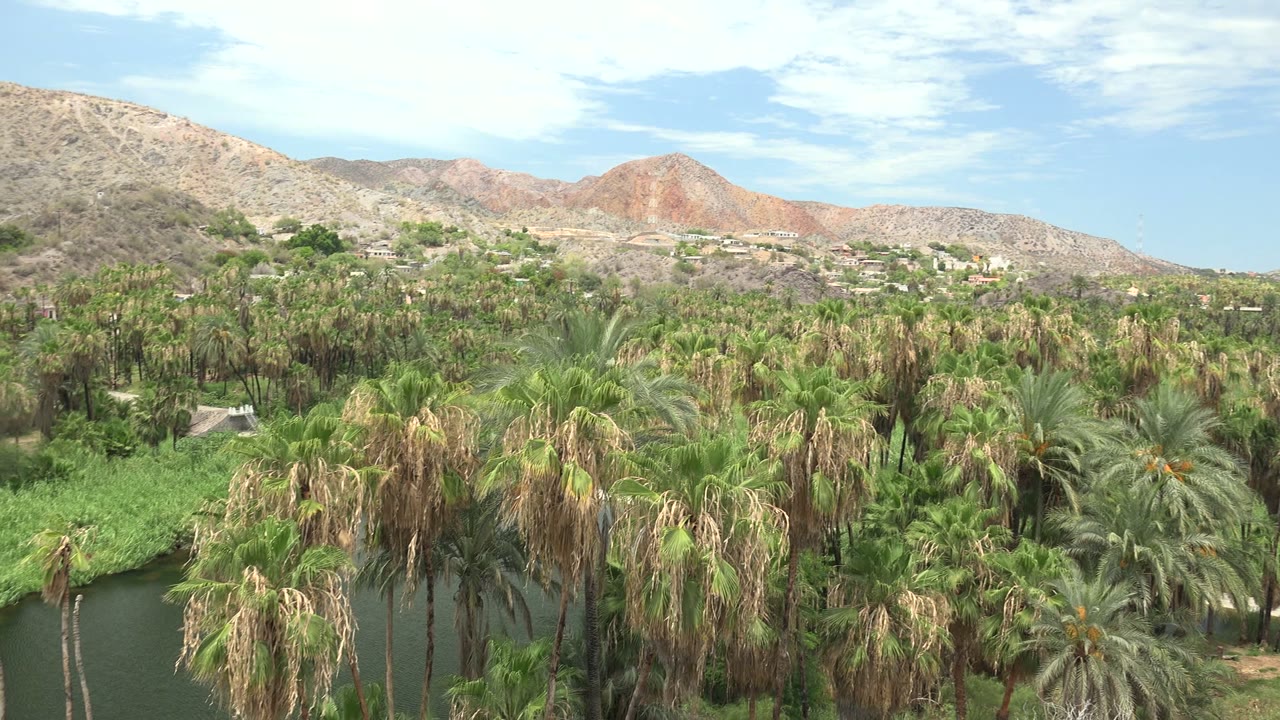 Dense palms and river bend below dry mountains and scattered buildings.
