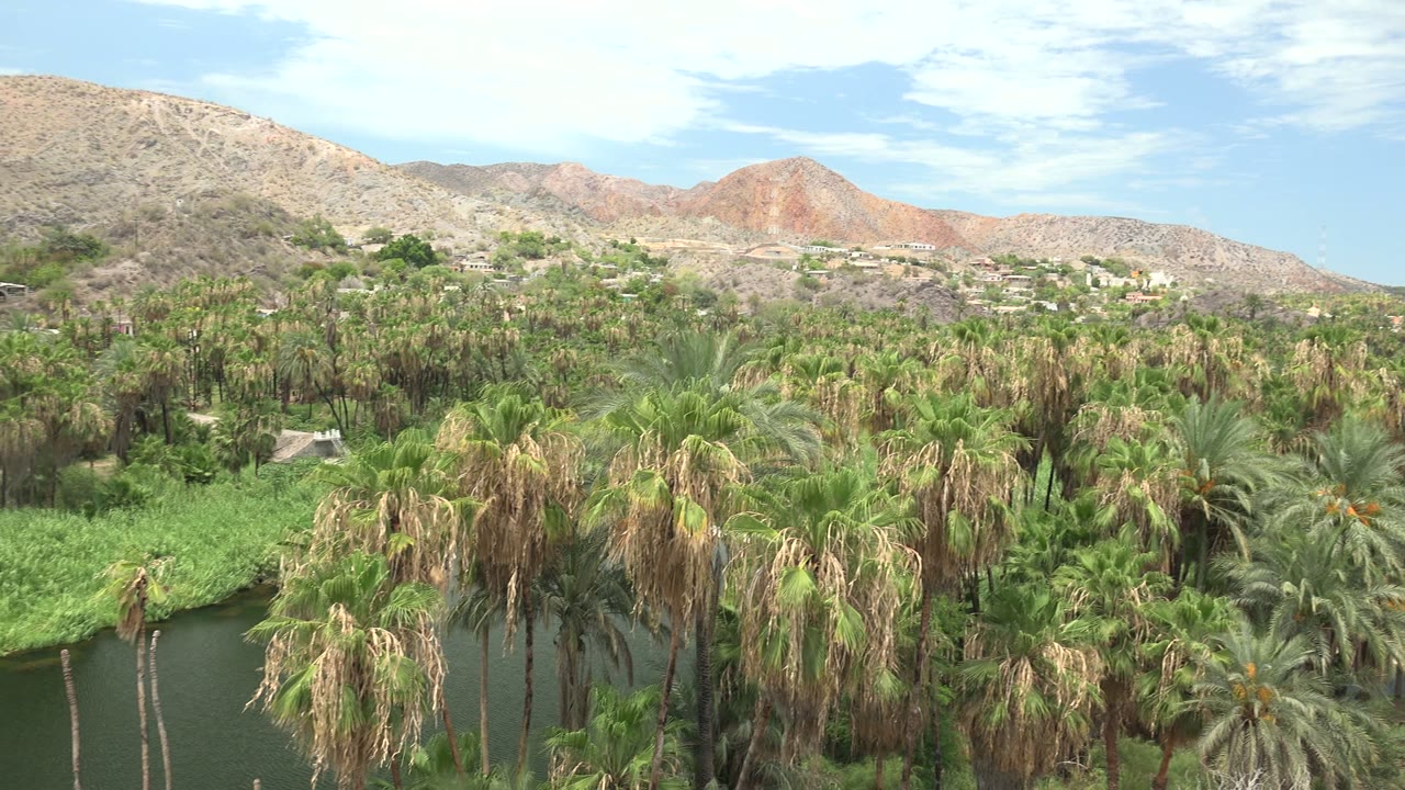 A broad view of Mulege palms and green riverbank vegetation sits below tan and reddish mountain ridges, with no visible people.