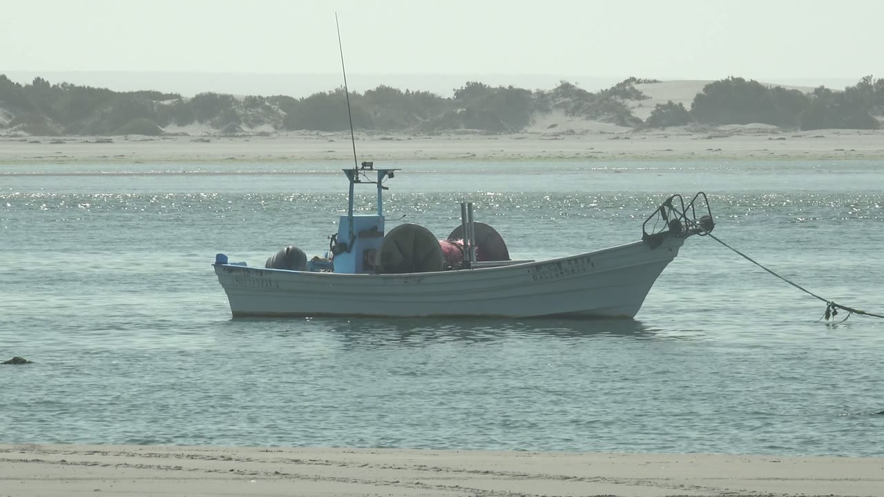 White fishing boat on blue-green water with a sandy shoreline behind it.