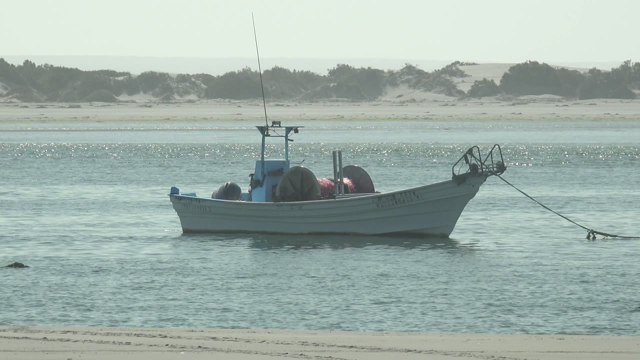 Small anchored boat in La Bocana shallow water as a gull crosses near the boat, with pale sand dunes in the background and no visible people.