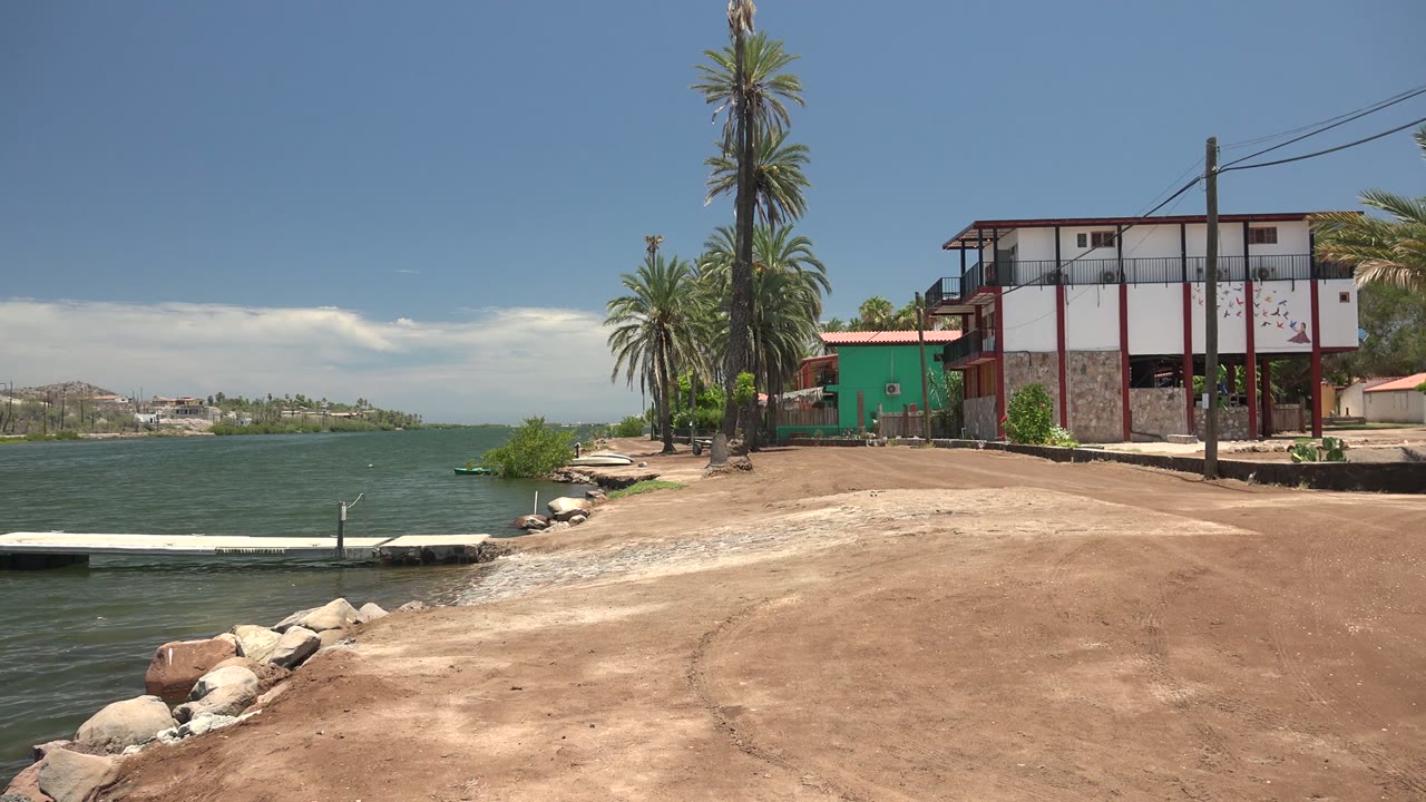 White dock along green water with sandy shoreline and palms near buildings.