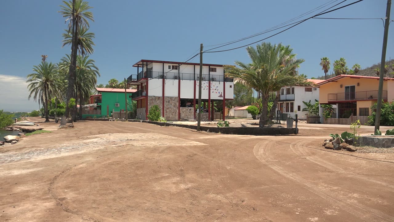 Palm-lined dirt road beside waterfront buildings and calm blue water.