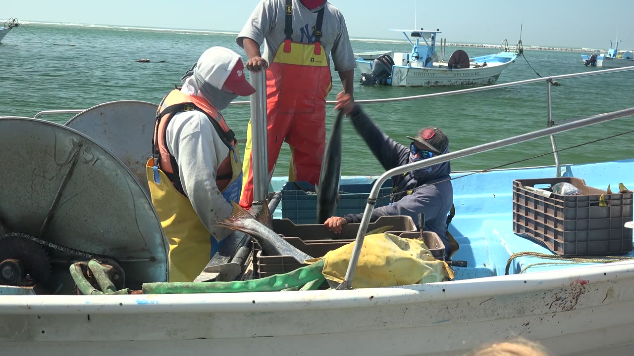 Fishermen handling gear on a blue fishing boat with other boats behind them.