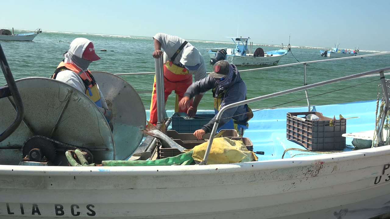 Three fishermen are visible on the La Bocana boat, with one leaning down toward the deck, one standing by a vertical post, and another seated near the net reel under bright sun.