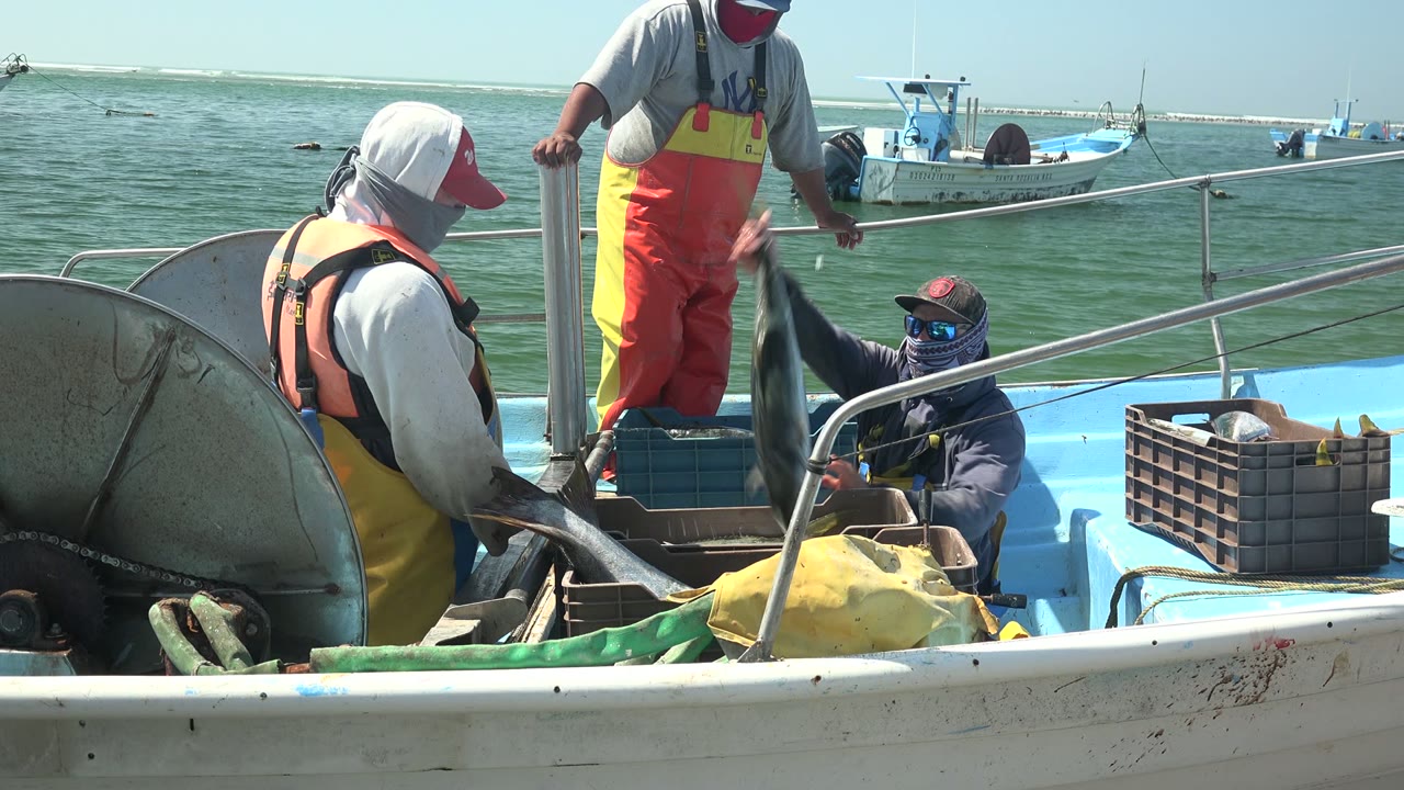At 0:02 in La Bocana, Baja California Sur, the crouching fisherman works beside the fish as two other fishermen remain near the rail, with the foreground reel and gear framing the deck.