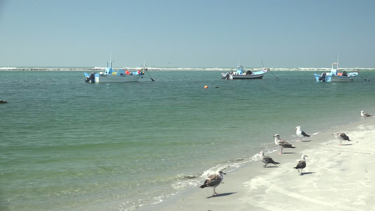 Seagulls stand on the sandy beach at La Bocana while small boats sit anchored across calm green-blue water, with no visible people.