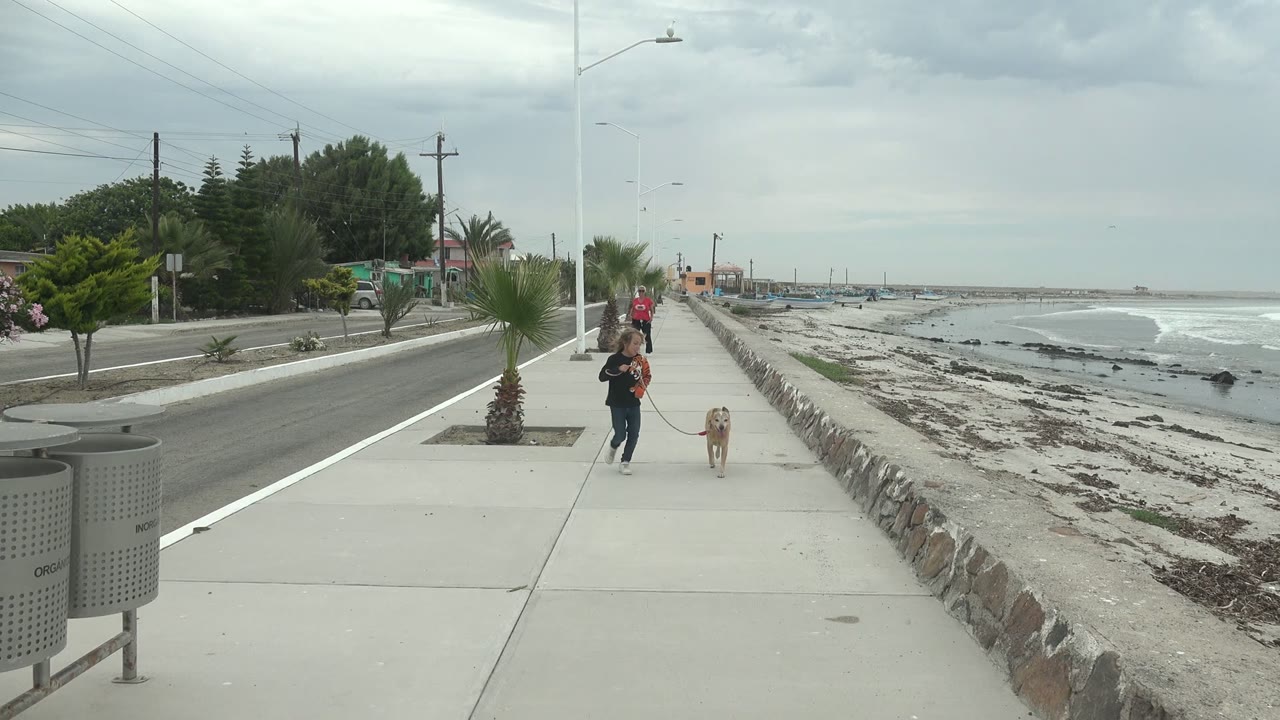 At 0:00 in Punta Abreojos, a girl and tan dog appear small on a concrete sidewalk, with the beach and surf to the right and a road with trees to the left.