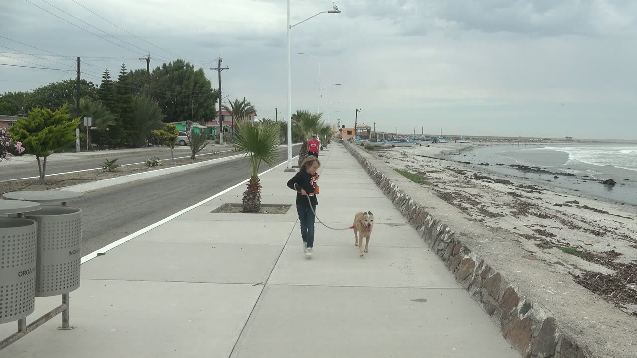 At 0:01, the girl and leashed dog are nearer on the Punta Abreojos sidewalk, with white surf breaking beyond the stone seawall and roadside trees in the background.