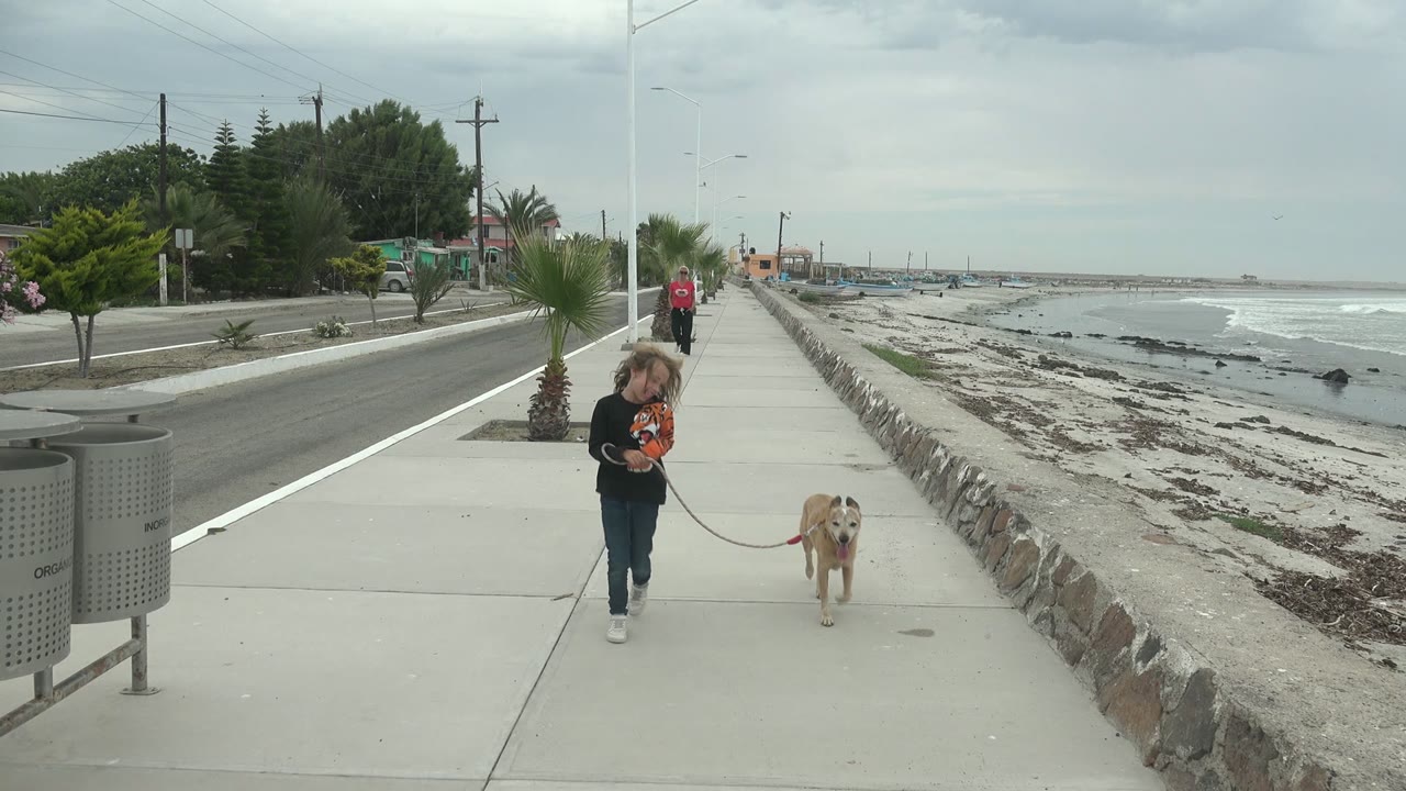 At 0:02, the girl walks toward camera with the tan dog to her right, while the long seawall, beach, surf line, road, and palms frame the Punta Abreojos walkway.