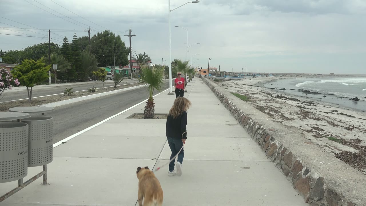 Girl and tan dog walking along a sidewalk beside the ocean.