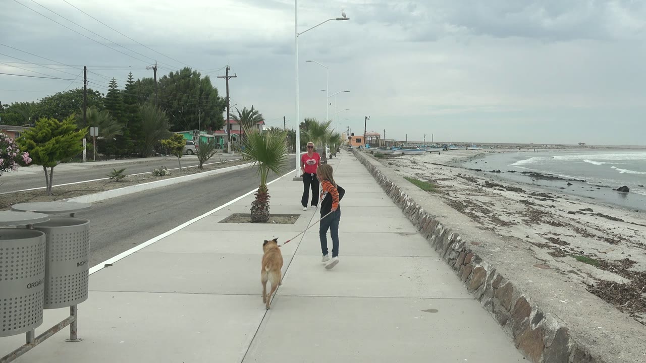 At 0:02 in Punta Abreojos BCS Mexico, the girl and tan dog move farther down the sidewalk toward the man in a red shirt, with planted palms on the roadside and the beach and ocean visible beyond the stone wall.
