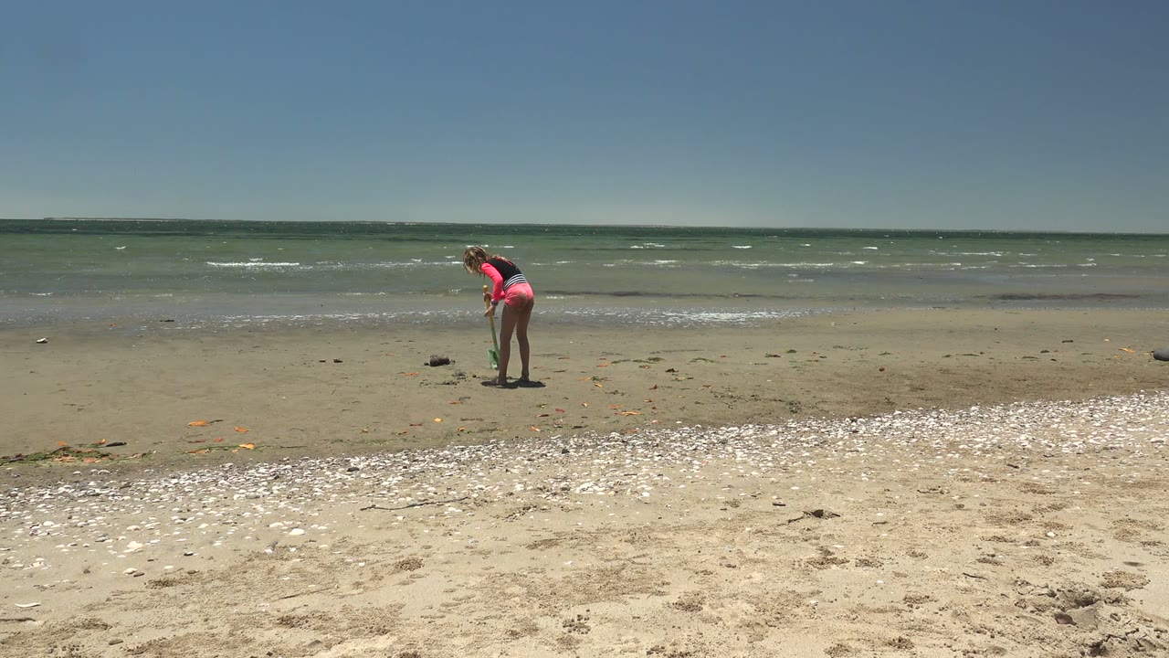 Person in pink is farther right in the frame while bending over on San Carlos sand, with white shells in front and rippled water across the background.