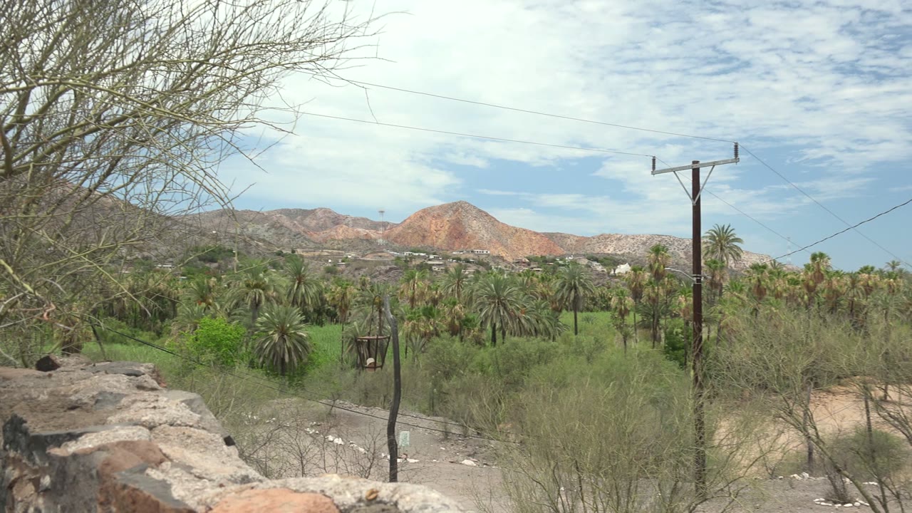 Mulege, Baja California Sur valley frame with more open brush at right, a stone wall at bottom left, palms across the midground, a tall utility pole, reddish hills, and no visible people.