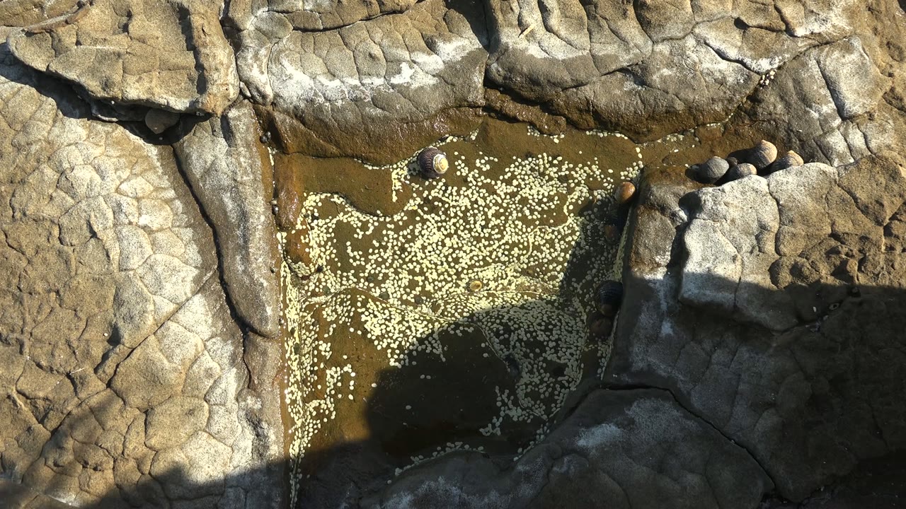 A larger dark shadow crosses the right side of the La Bocana tide pool while white particles remain visible on the water and cracked rock surrounds the pool, no visible people.