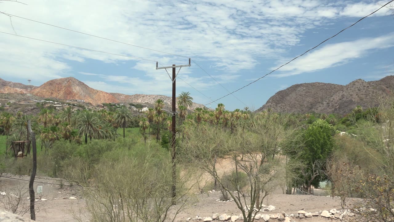 Wide Mulege valley frame with a dry sandy patch in the foreground, dense green palms across the middle, brown hills behind them, overhead power lines, and no visible people.