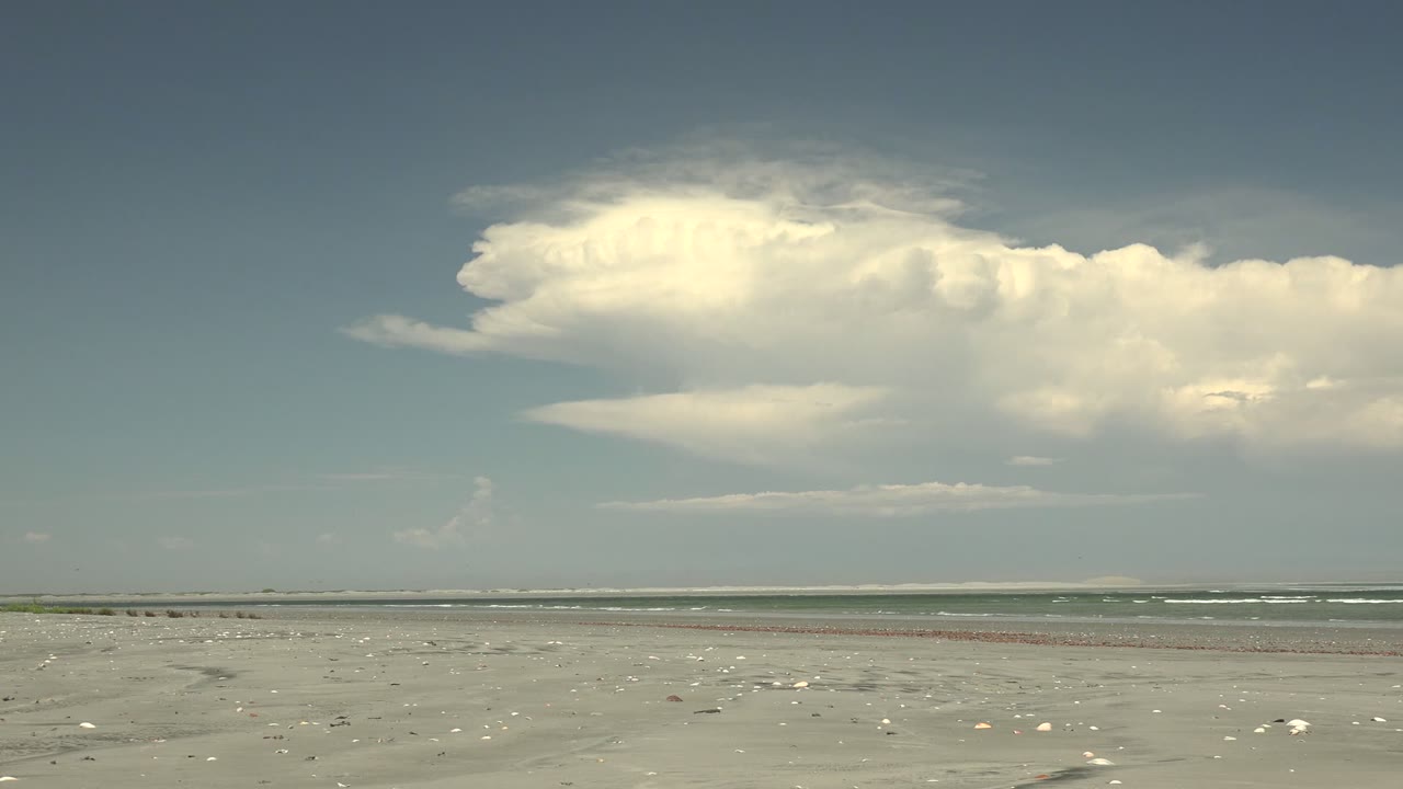 Wide beach view with scattered shells, surf, and bright clouds above the horizon.